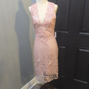 Laundry by Shelli Segal Blush Lace Overlay Dress